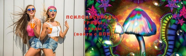 стафф Абинск