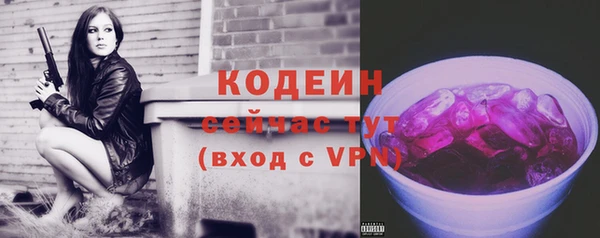 хмурый Рославль
