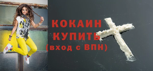 гашик Россошь