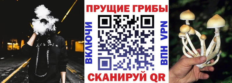 Псилоцибиновые грибы Magic Shrooms  Вытегра 